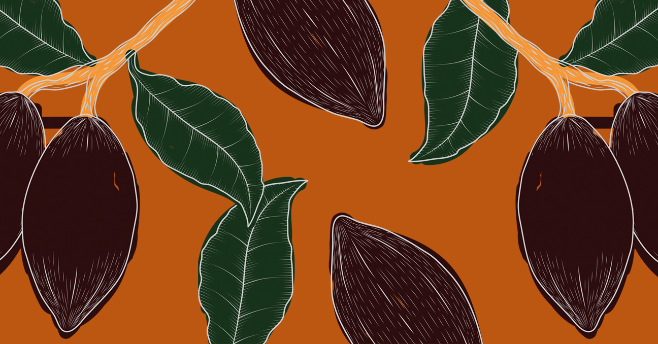Una ilustración con la planta del cacao y sus frutos y hojas